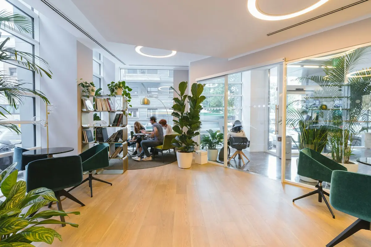 A bright shared workspace with plants and desks