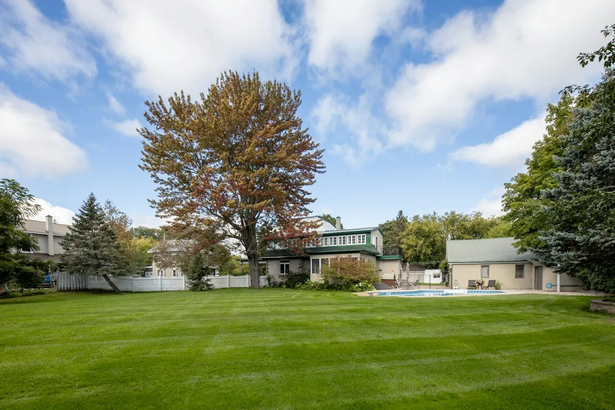 A green lawn with a swimming pool and a house behind it