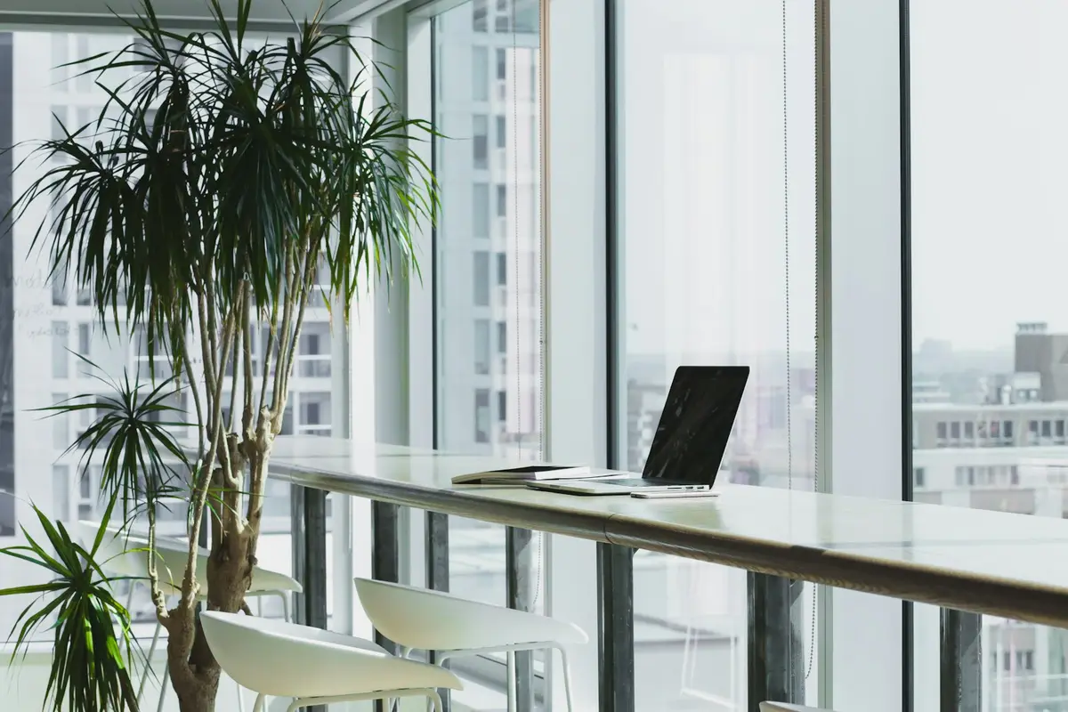 A desk with a laptop and plants by a bright window